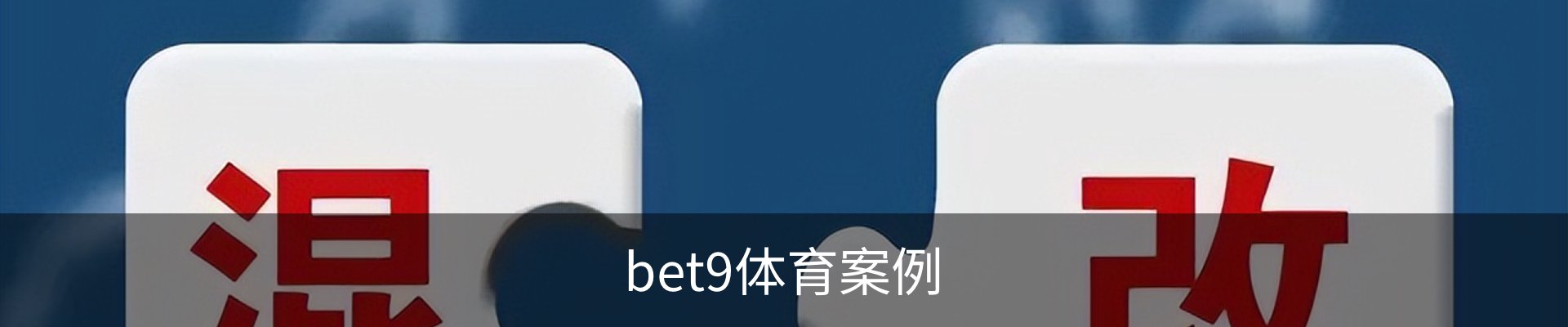 bet9体育案例